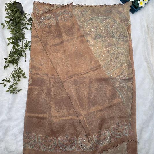 Organza Tissue Kheta Work Saree in Rustic Brown with Intricate Paisley & Floral Detailing