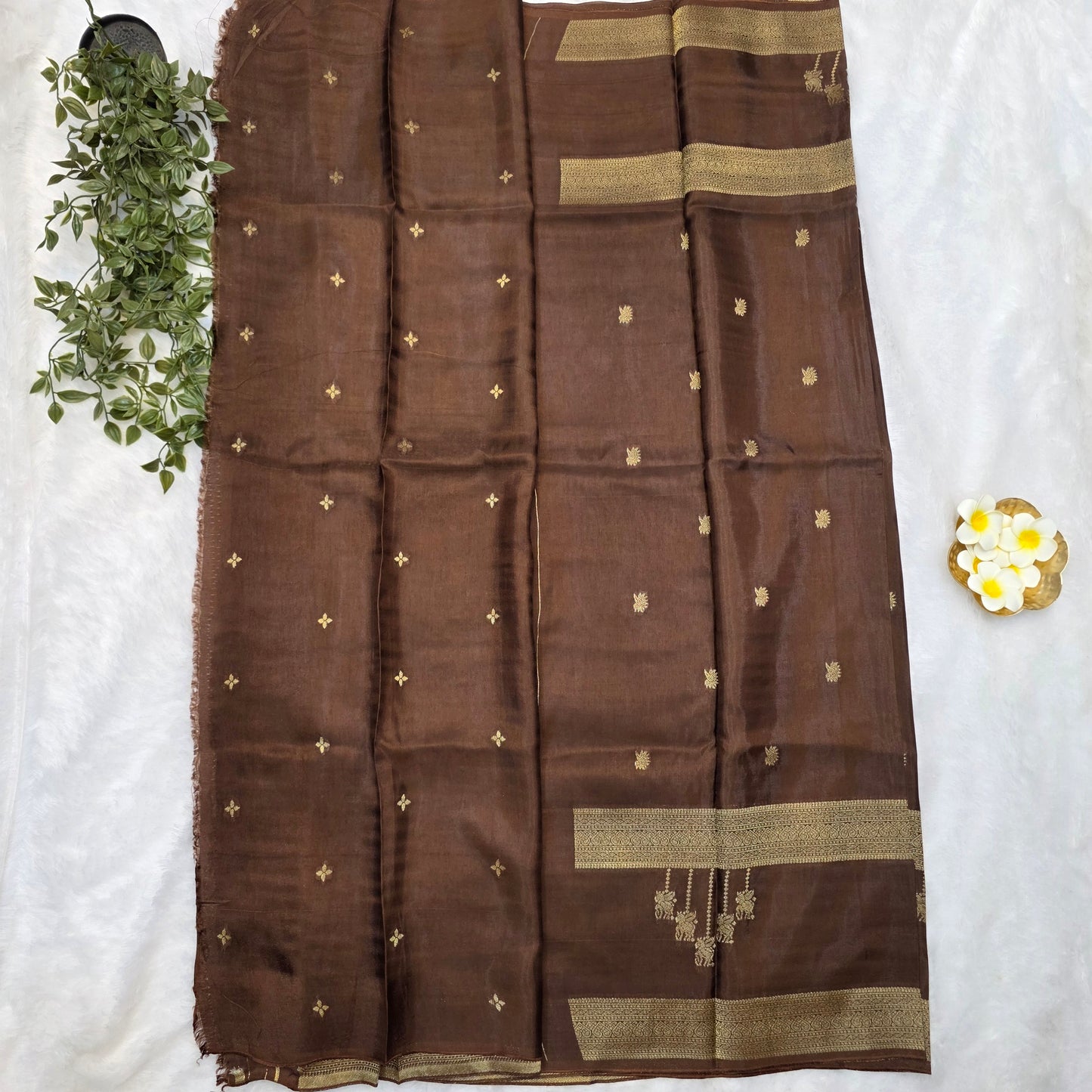 Pure Viscose Self Weave Saree in Chocolate Brown with Gold Zari Borders